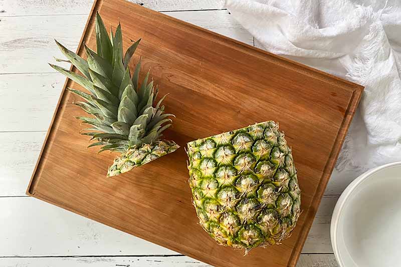 Horizontal image of a crown removed from the rest of a pineapple on a board.
