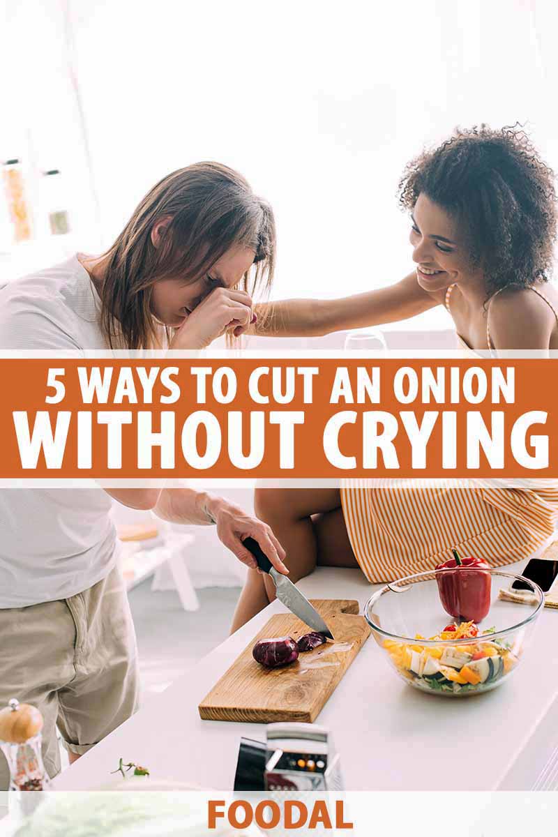 https://foodal.com/wp-content/uploads/2023/08/5-Ways-to-Stop-Onion-Cutting-Misery-Pin.jpg