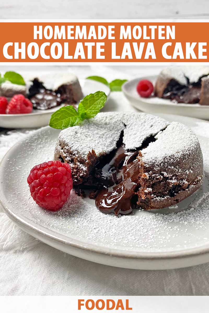 Can't Get You Out Of My Head Chocolate Cake – A Half-