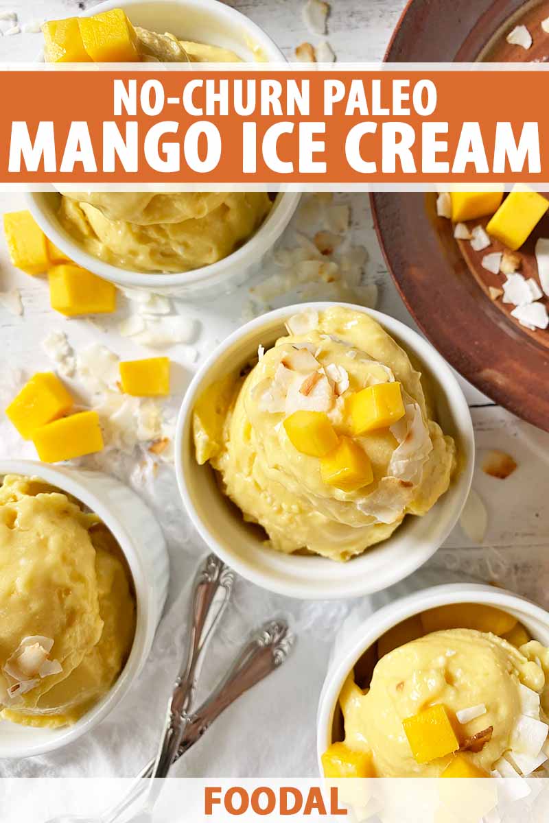 Vertical top-down image of assorted white bowls filled with an orange-colored ice cream with various garnishes, with text on the top and bottom of the image.
