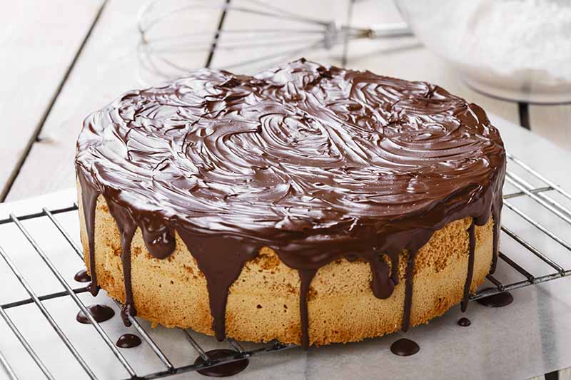 Horizontal image of a round vanilla dessert on a cooling rack covered in a thick layer of chocolate ganache.