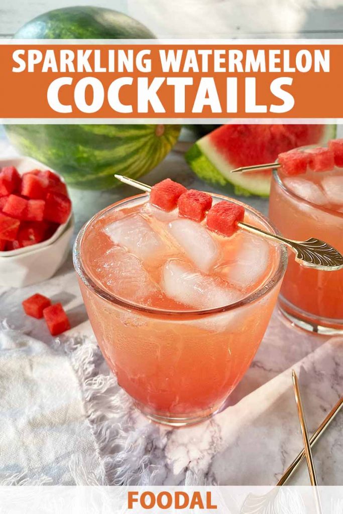 Vertical image of multiple glasses filled with a light pink drink with a garnish on a pick, with text on the top and bottom of the image.