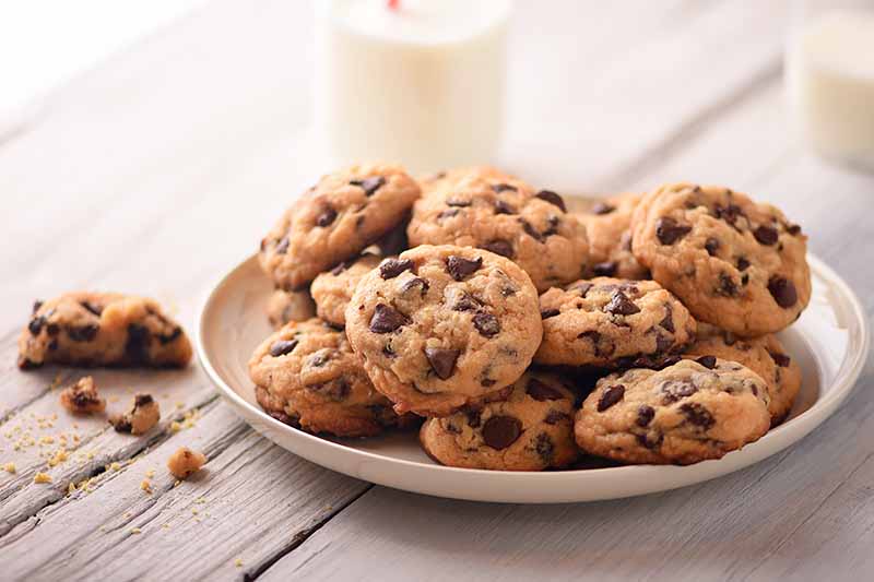 Horizontal image of a plateful of chocolate chip cookies on a white wooden table in front of milk bottles.