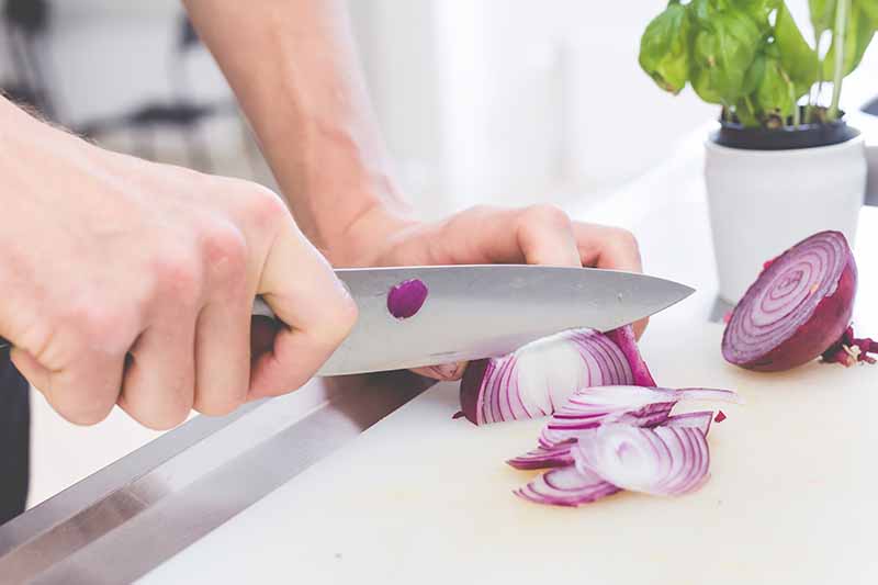 Horizontal image of a sharp knife slicing through a red onion.