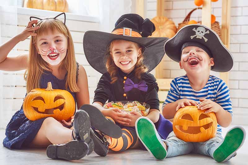 Horizontal image of children wearing costumes and face paint holding carved pumpkin and a bowl of candy.