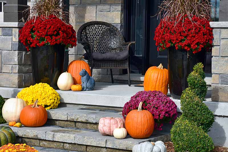 Horizontal image of assorted fall decor on the steps of a home's front porch.