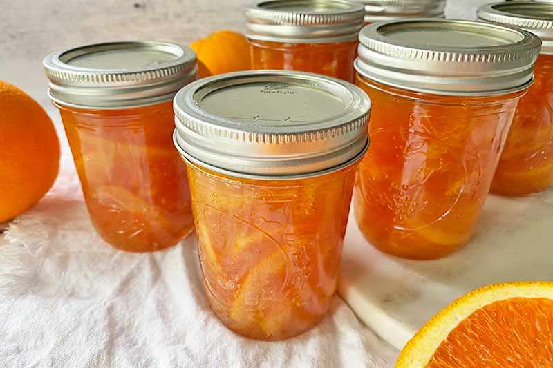 Horizontal image of multiple jars filled with orange preserves.