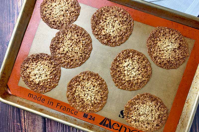 Horizontal image of thin, individual baked rounds of batter on a silicone mat.