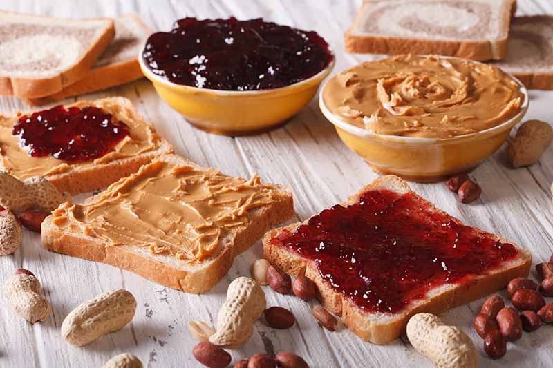 Horizontal image of making peanut butter and jelly sandwiches.