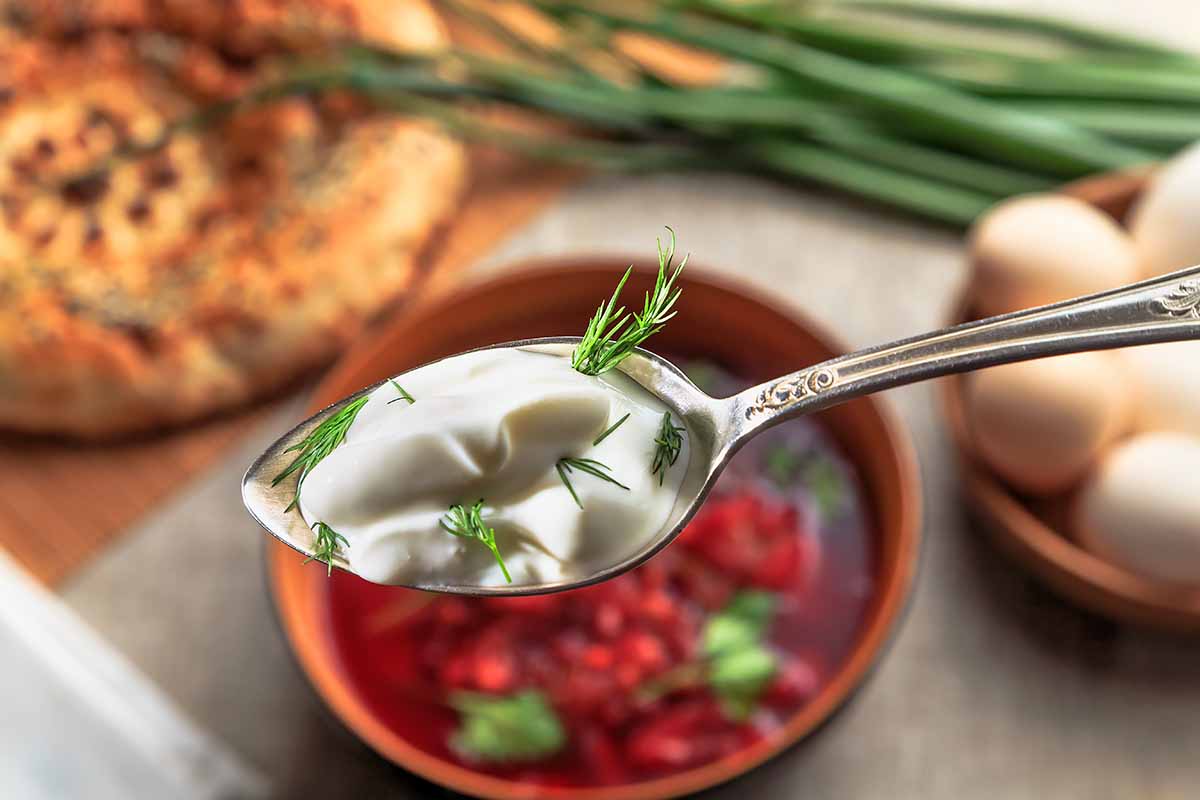 Horizontal image of sour cream with dill on a spoon overlooking beet soup.