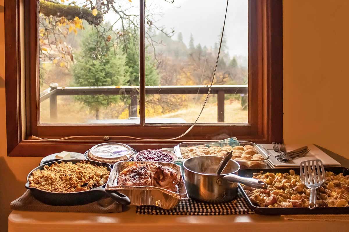 Horizontal image of a large buffet table overlooking a window outside of the woods.