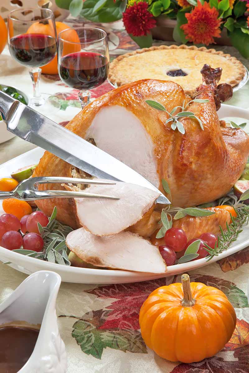 Vertical image of carving a roasted turkey on a server tray garnished with fresh grapes and herbs on fall harvest table.