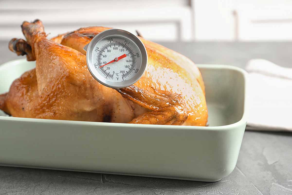 Horizontal image of a roasted turkey in a baking dish with a meat thermometer inserted into it.