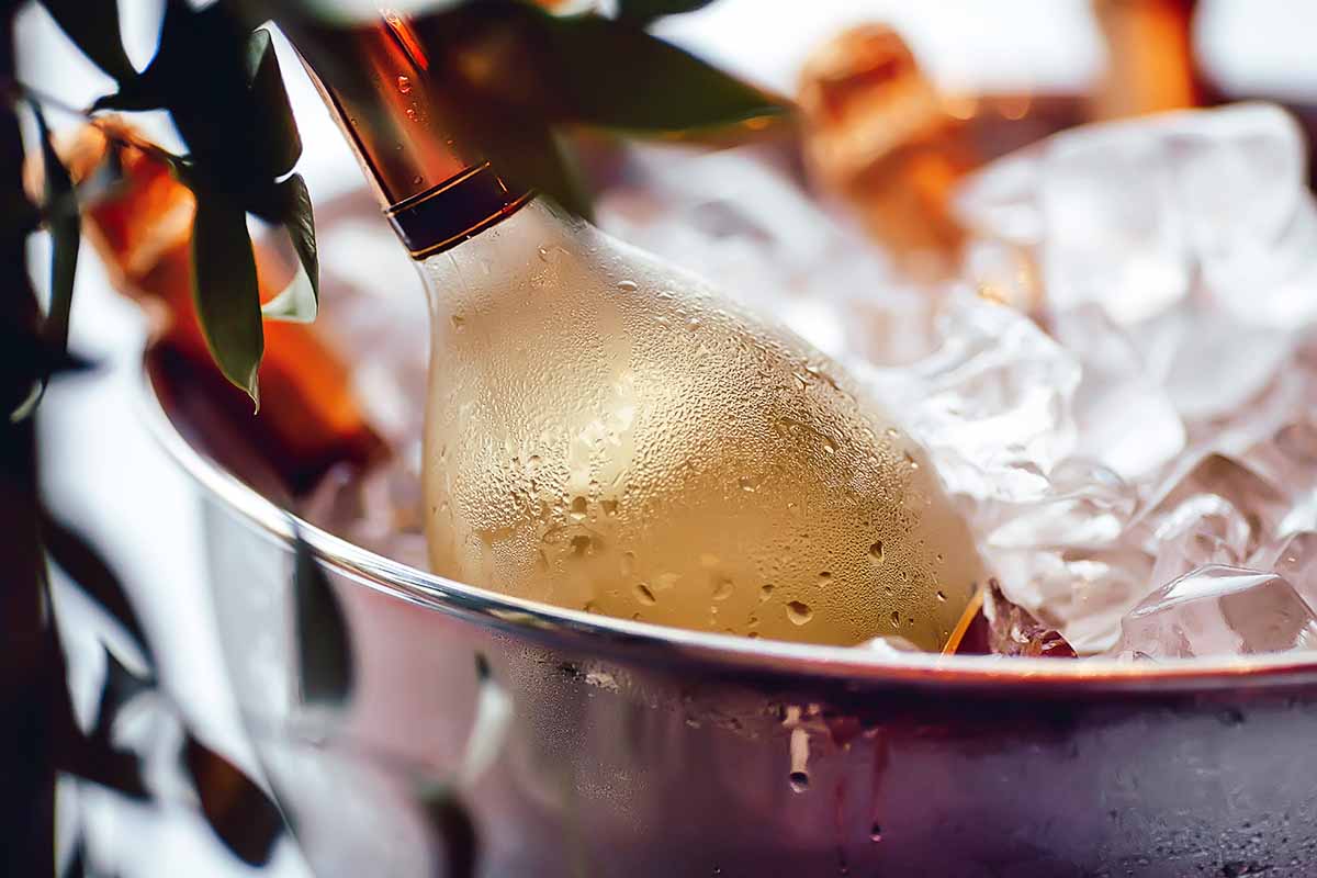 Horizontal image of a chilled wine bottle in a buck filled with ice.
