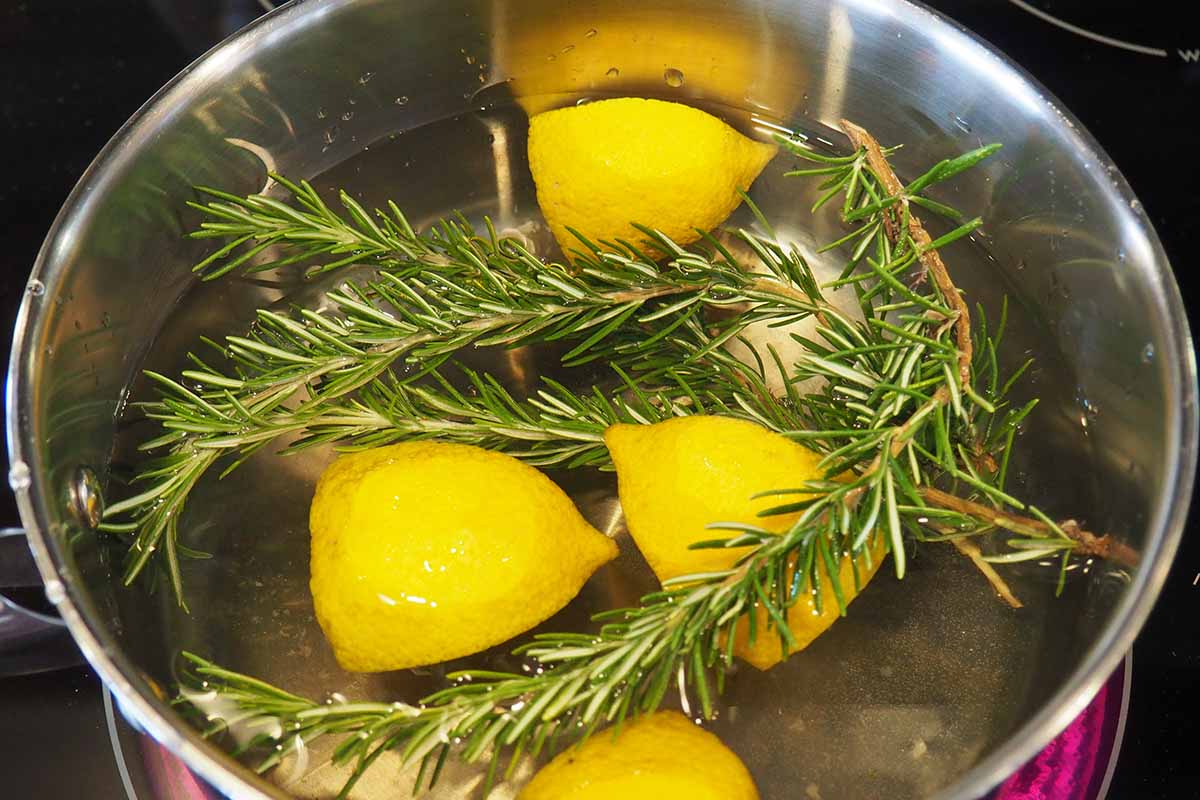 Horizontal image of an aromatic natural air freshener with a pot filled with water, lemons, and rosemary.