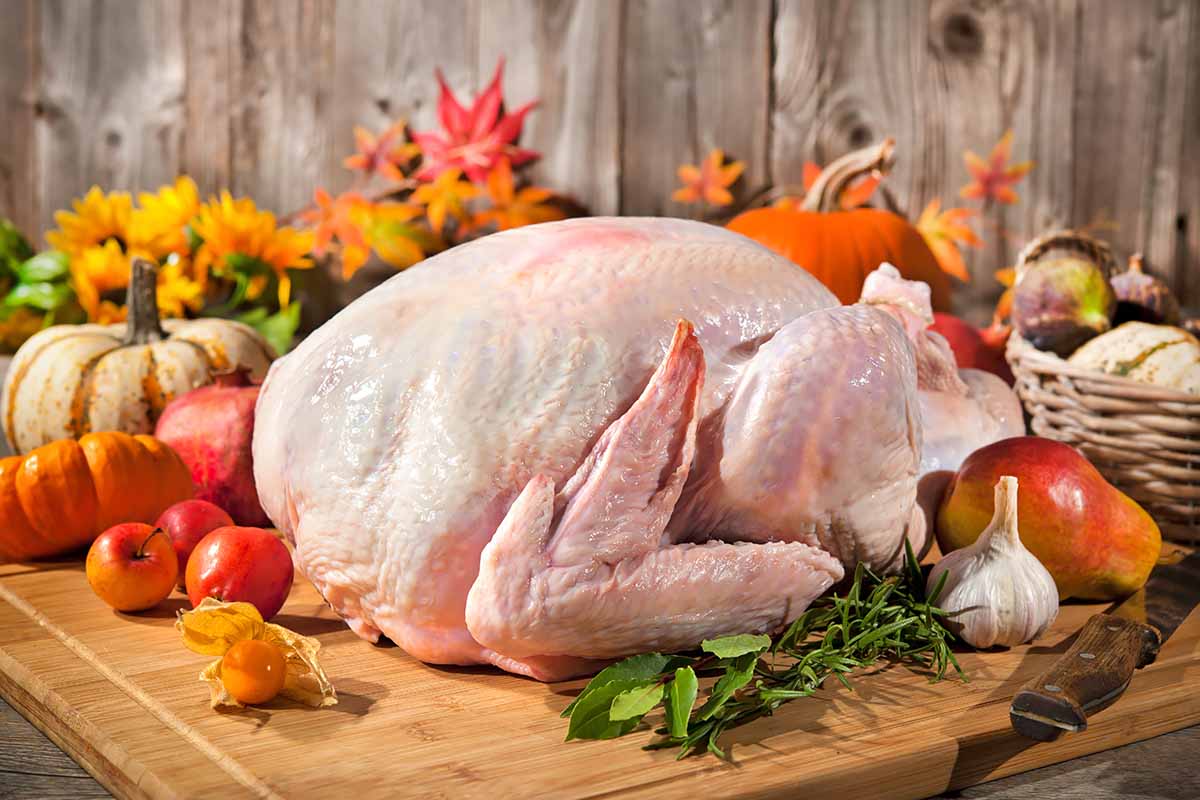 Horizontal image of preparing a turkey with fall ingredients.