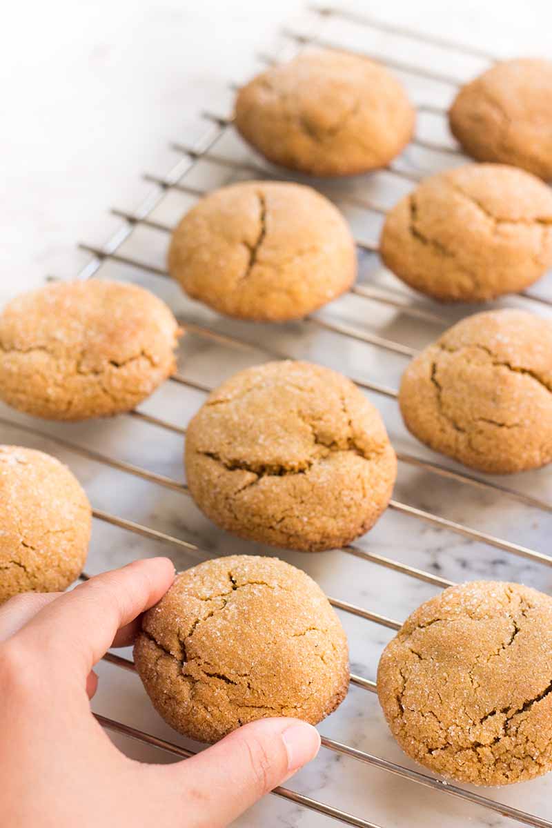Vertical image of a hand taking one cookie from a batch on a cooling rack.
