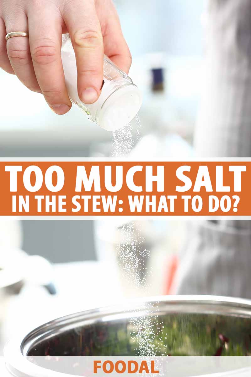 https://foodal.com/wp-content/uploads/2023/11/Too-Much-Salt-in-the-Stew-Pin.jpg