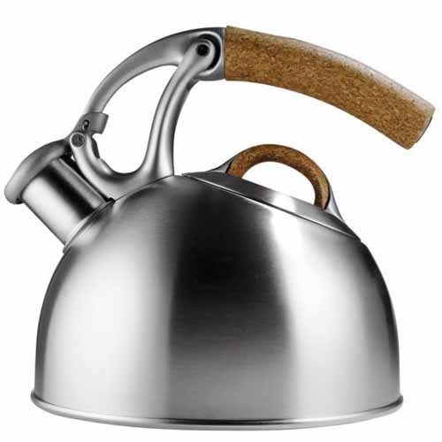 Image of the OXO Kettle, anniversary edition.