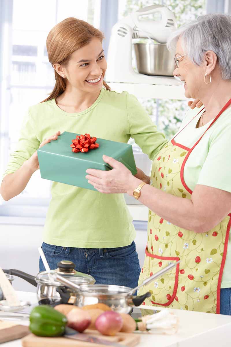 Vertical image of a woman and grandmother exchanging gifts in the kitchen.