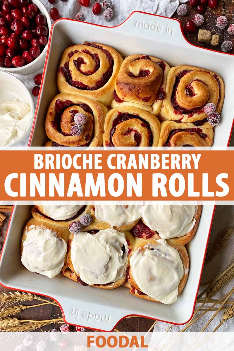 Vertical top-down image of freshly baked cinnamon rolls in a casserole dish, with text in the middle and on the bottom of the image.