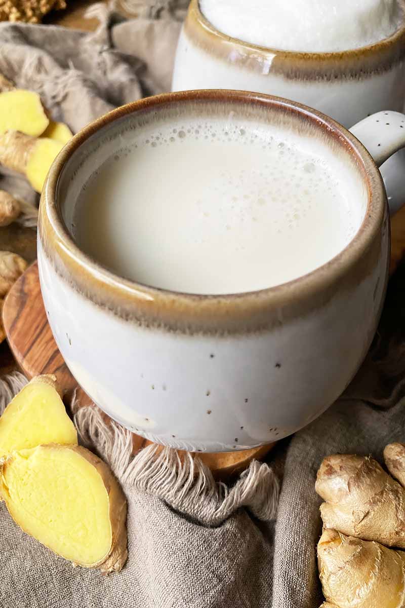 Vertical close-up image of a mug filled with a hot, creamy beverage on a wooden board surrounded by towels and sliced fresh roots.