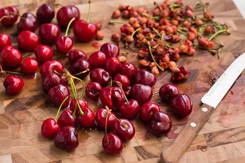 Horizontal image of removing the pits from whole red cherries on a wooden cutting board.