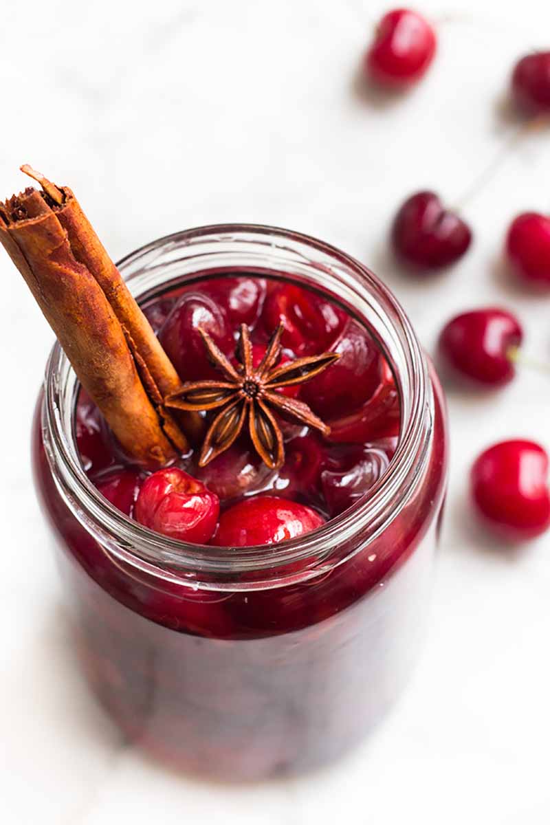 Vertical image of a jar that is full of preserved red cherries in a syrup topped with a stick of cinnamon and star anise.