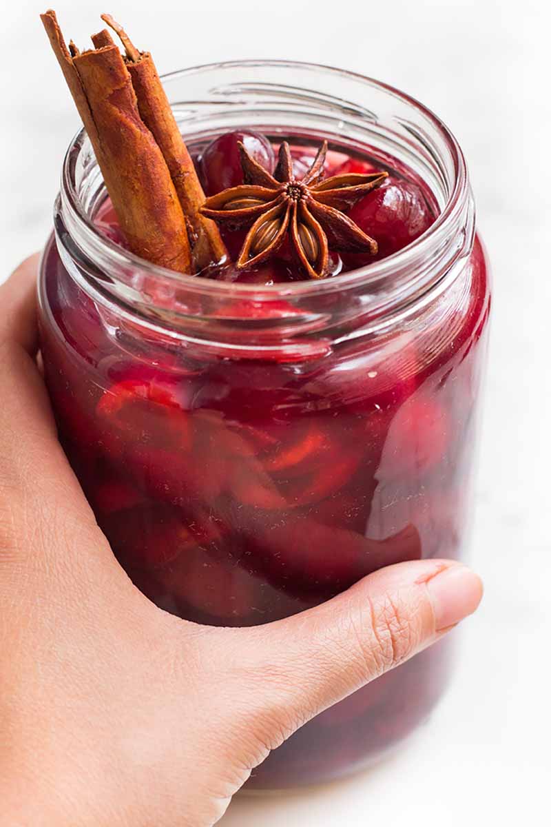 Vertical image of a hand holding a jar of preserved stone fruit topped with cinnamon and star anise.
