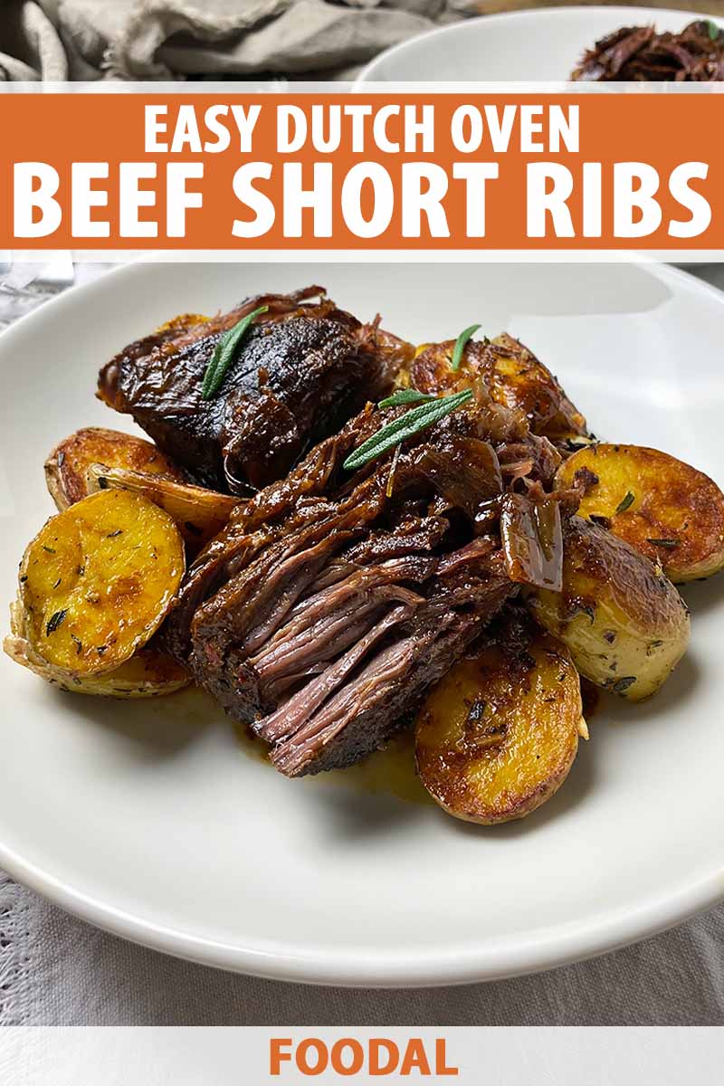 Vertical image of a composed plate with chunks of beef on a bed of roasted potatoes with a rosemary herb garnish.