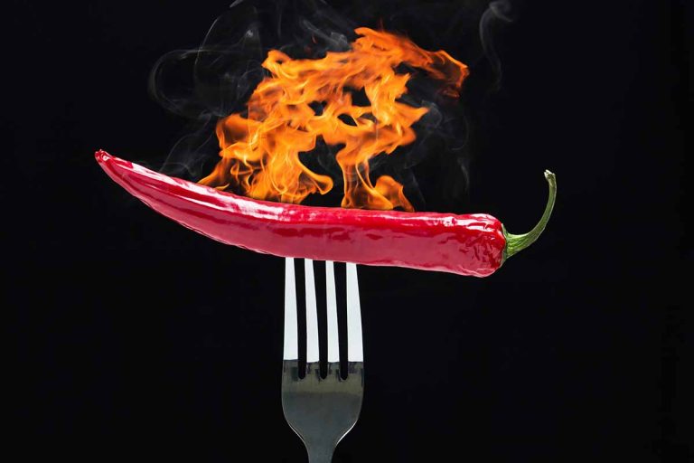 Horizontal image of a metal fork piercing a flaming pepper with a black background.