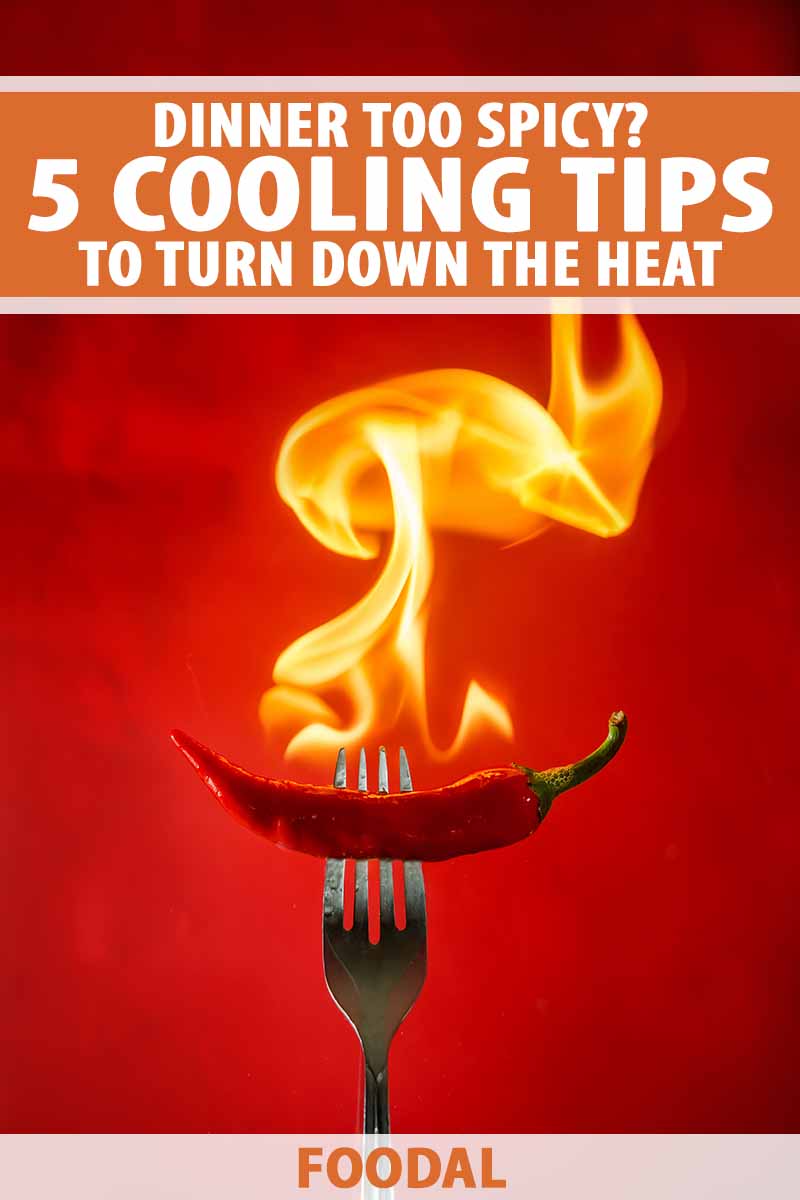 Vertical image of a fork piercing a flaming pepper with a red background, with text on the top and bottom of the image.