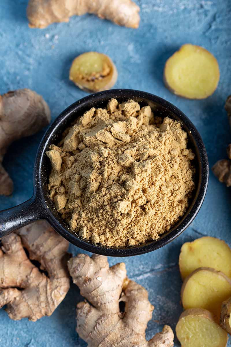 Vertical image of a bowlful of ground ginger next to the fresh root on a blue surface.