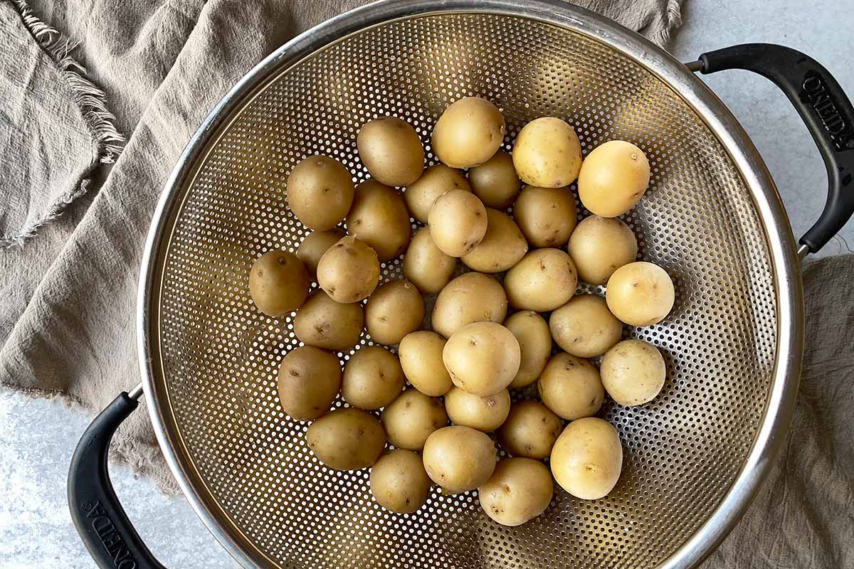 Horizontal image of boiled whole golden baby potatoes in a colander.
