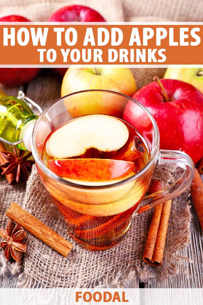 Vertical image of a glass mug filled with a cocktail with fresh fruit slices and cinnamon sticks, with text on the top and bottom of the image.