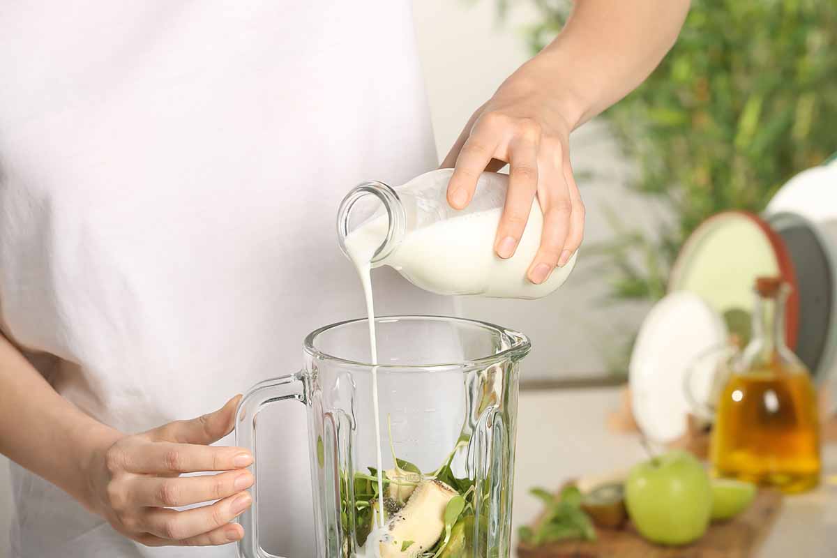 Horizontal image of a woman pouring milk into a glass pitcher with assorted fresh ingredients.