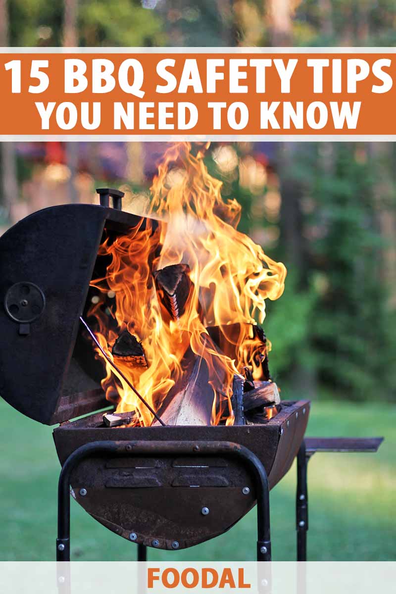 Vertical image of large flames from a BBQ outside, with text on the top and bottom of the image.