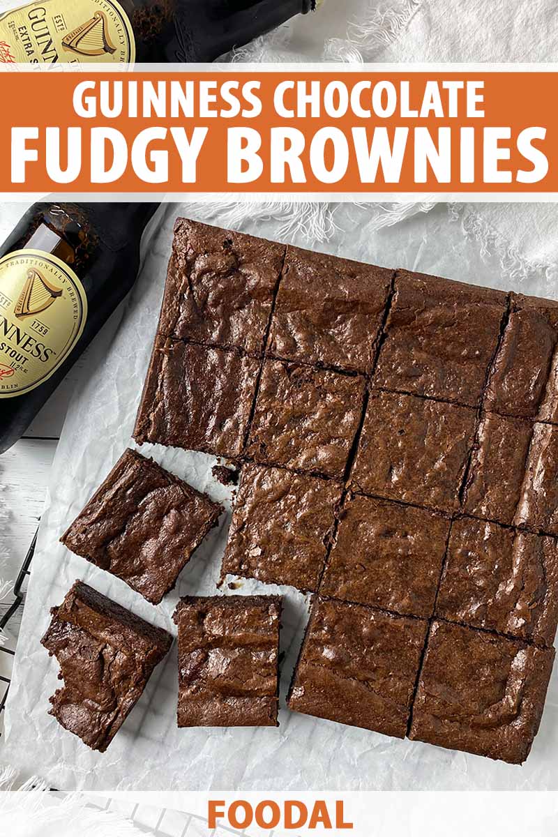 Vertical top-down image of Guinness brownies, with text on the top and bottom of the image.